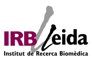 Lleida 